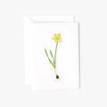 Daffodil bulb mini enclosure notecard