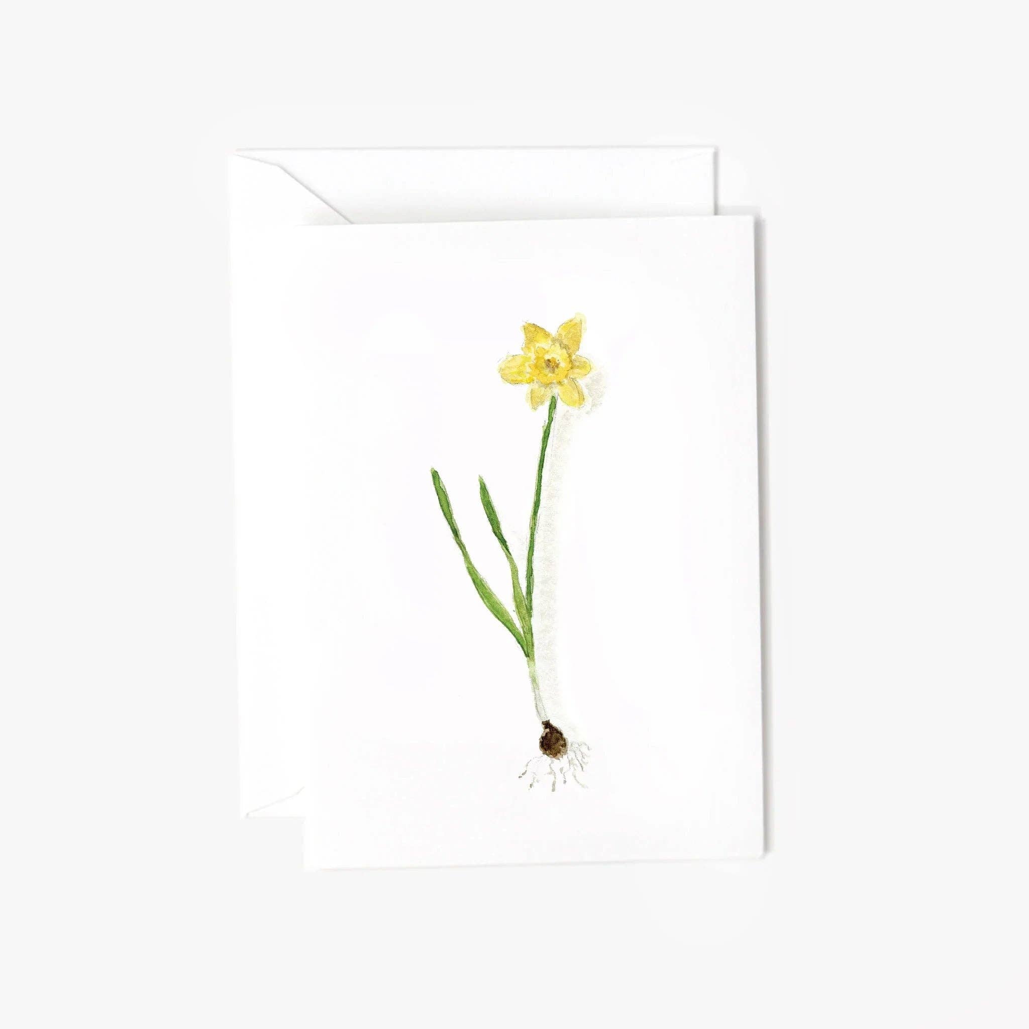 Daffodil bulb mini enclosure notecard