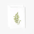 Fern mini enclosure notecard