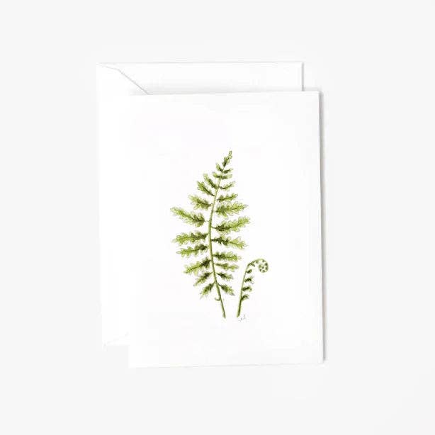 Fern mini enclosure notecard