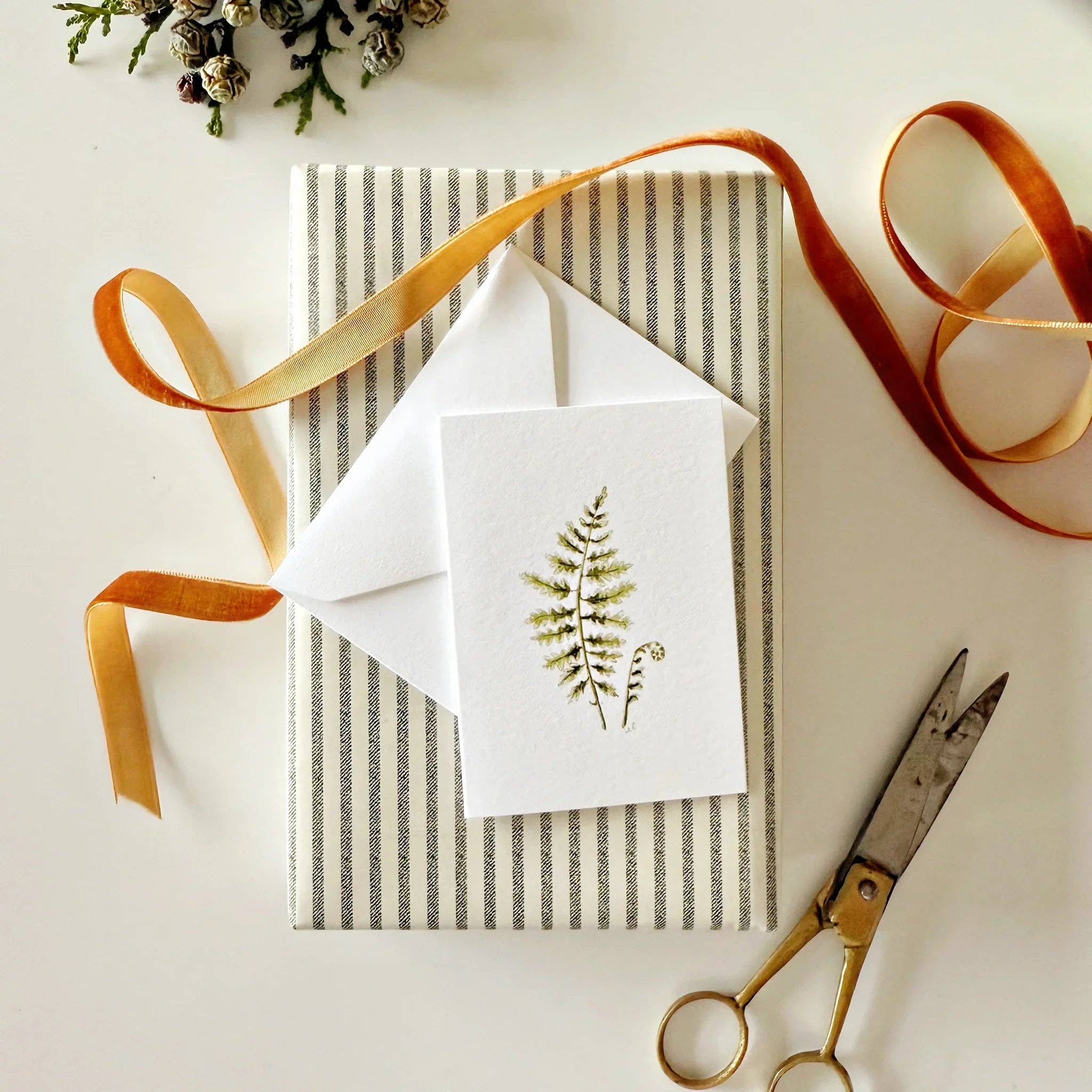 Fern mini enclosure notecard