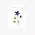 Violet stem mini enclosure notecard