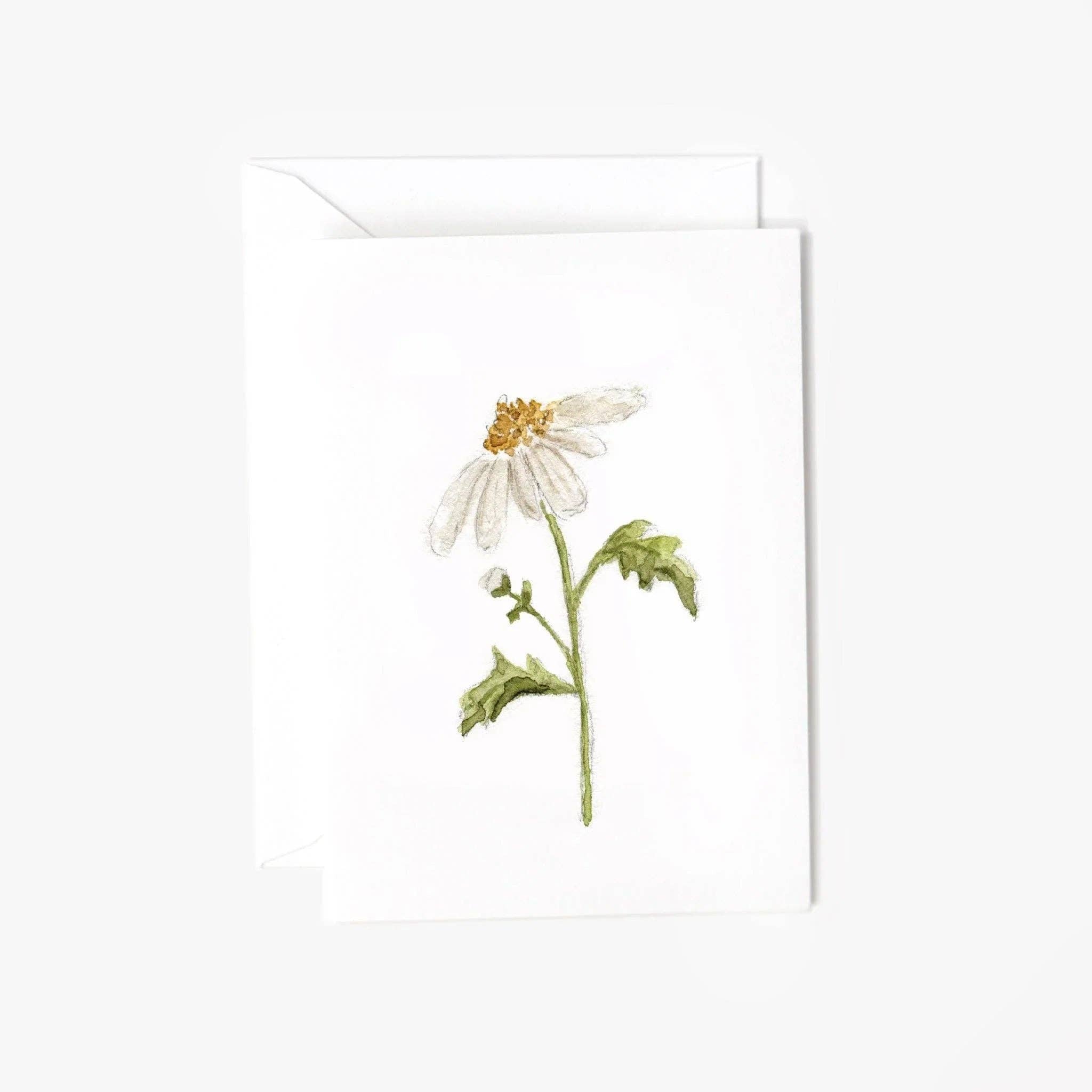 Daisy mini enclosure notecard