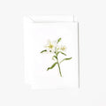 Easter lily mini enclosure notecard