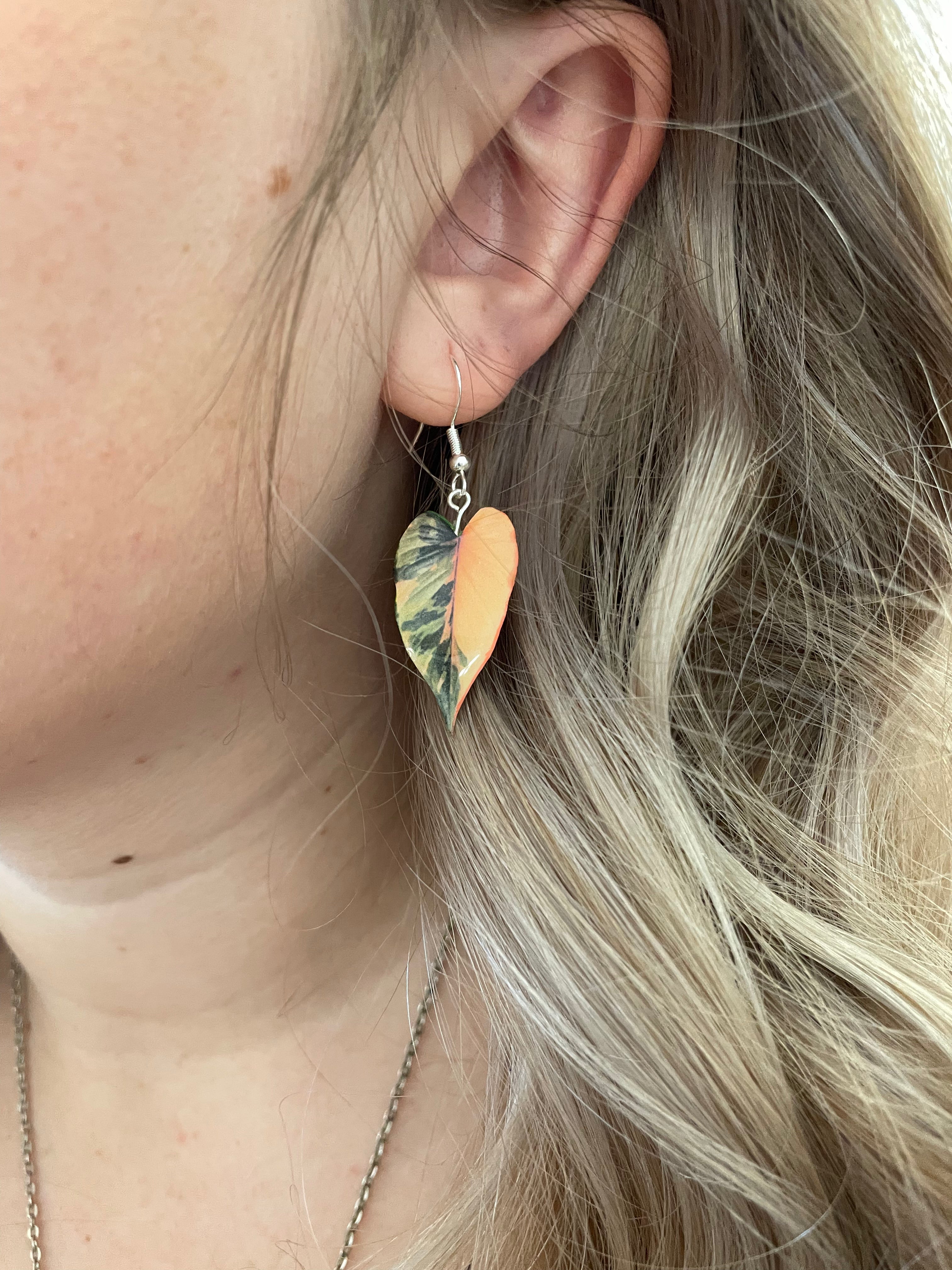 Homalomena Pink Diamond RARE Plant Earrings | Leaf Earrings