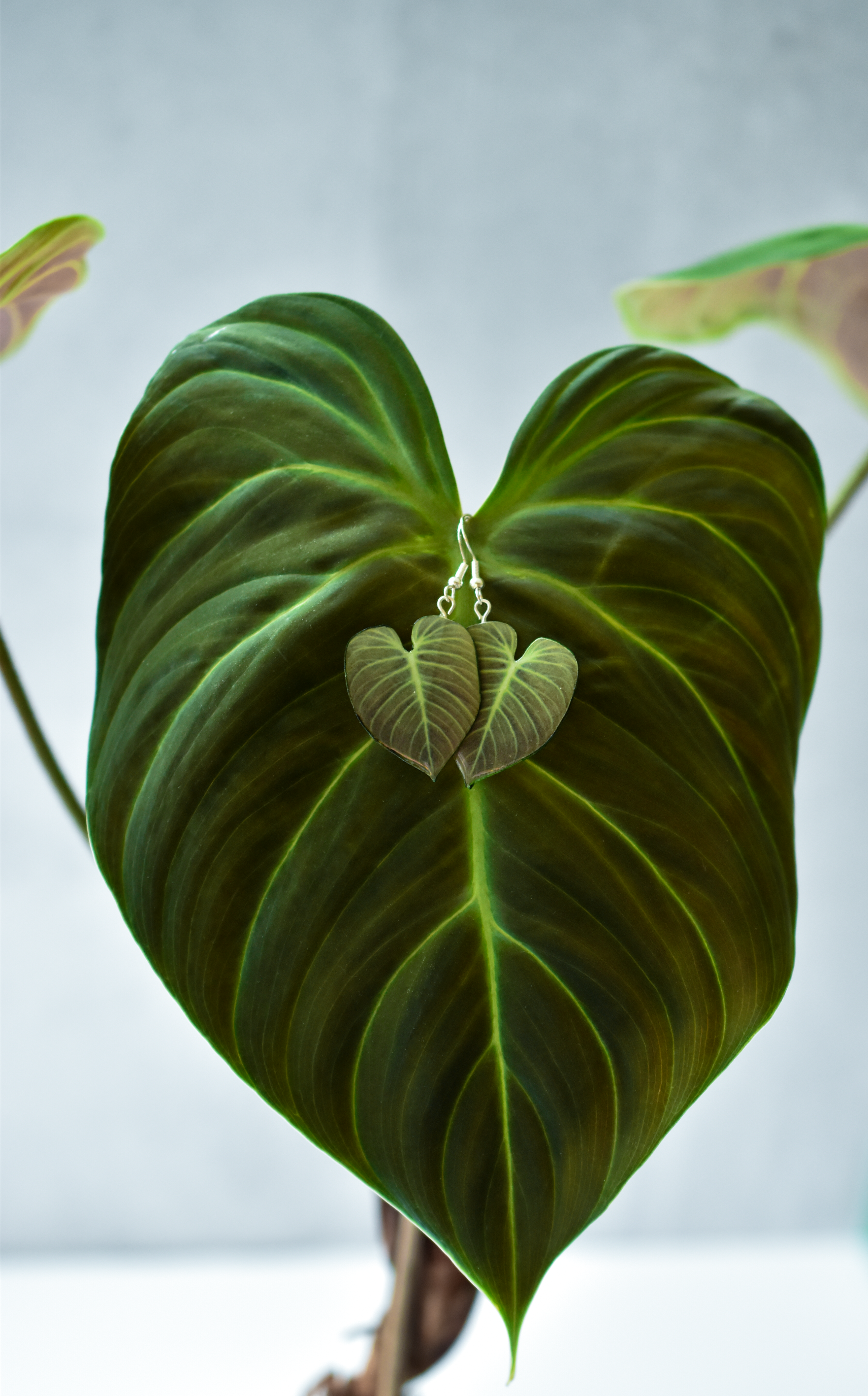 Philodendron El Choco Red || Handmade Leaf Earrings || Plant Earrings || Sterling Silver Earrings